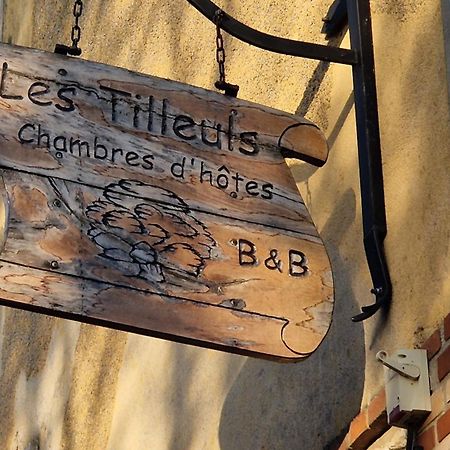 Les Tilleuls Neung-sur-Beuvron Екстериор снимка
